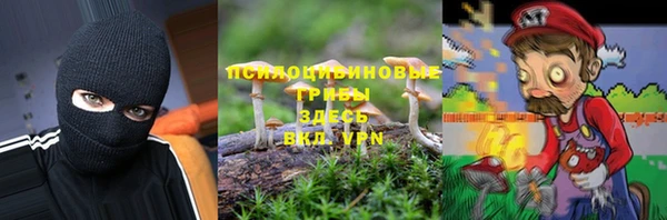 ешки Абаза