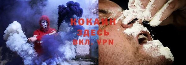 прущие грибы Алзамай