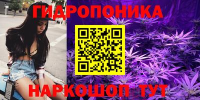 прущие грибы Славянск-на-Кубани