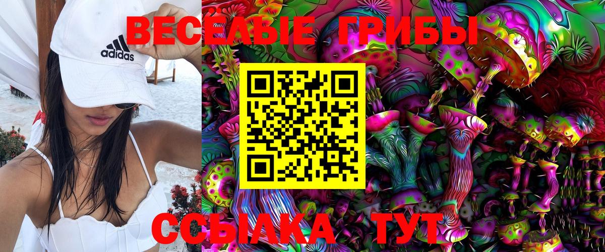 Псилоцибиновые грибы Magic Shrooms Полевской